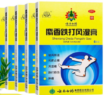 麝香跌打风湿膏 Shexiang Dieda Fengshi Gao