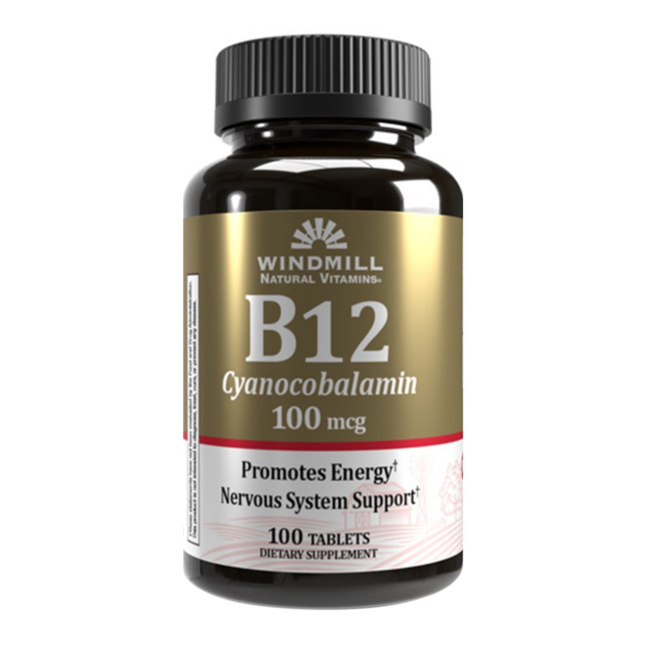 Windmill Vitamin B-12 100 Mcg Tablets - 100 Ea