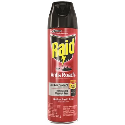 RAID ANT & ROACH OUTDOOR FRESH 17.5 OZ