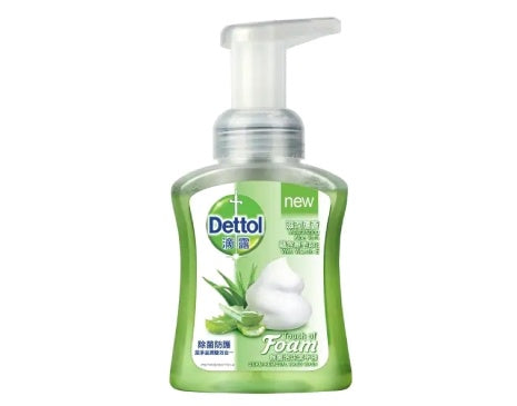 Dettol Brand HAND WASH Anti Bacteria Foam, Moisturizing, Aloe Vera (250 mL)