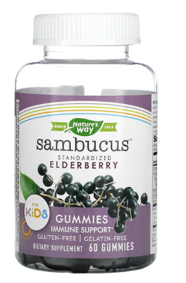 Nature's Way, Sambucus for Kids, Standardized Elderberry Gummies, 60 Gummies