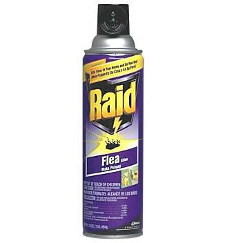 RAID FLEA KILLER SPRAY 16 OZ