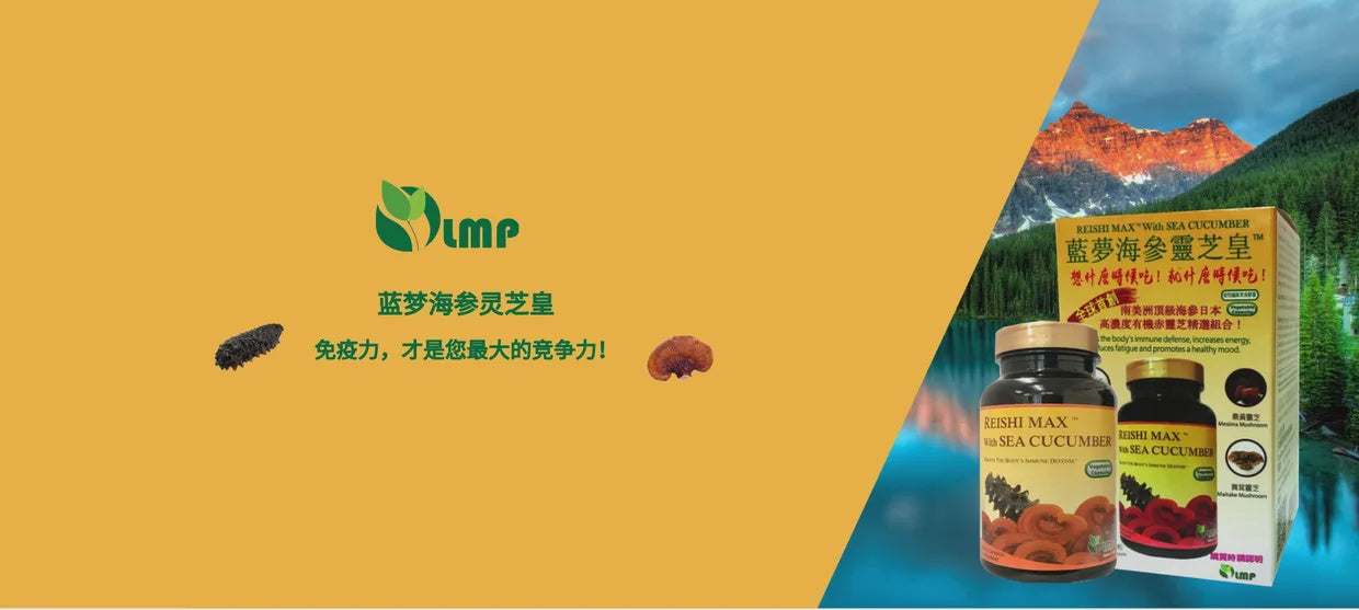 蓝梦海参灵芝皇 REISHI MAX W/ SEA CUCUMBER 60粒