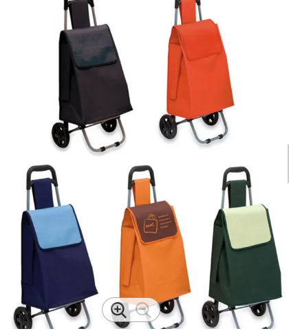 Shopping Cart 55 RX POINT